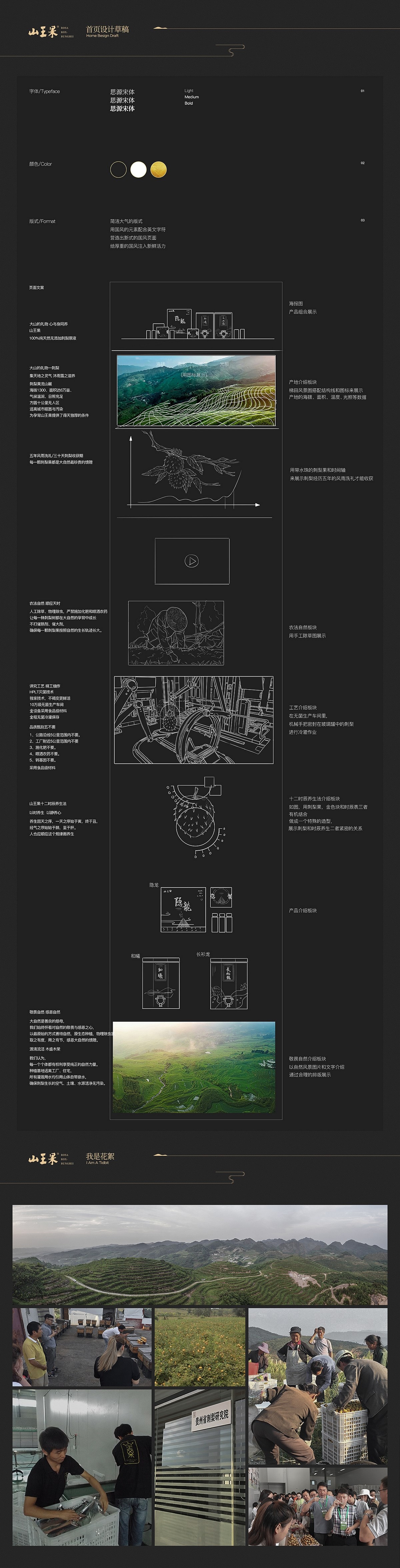 泰宝高端零食包装设计【汤臣杰逊】