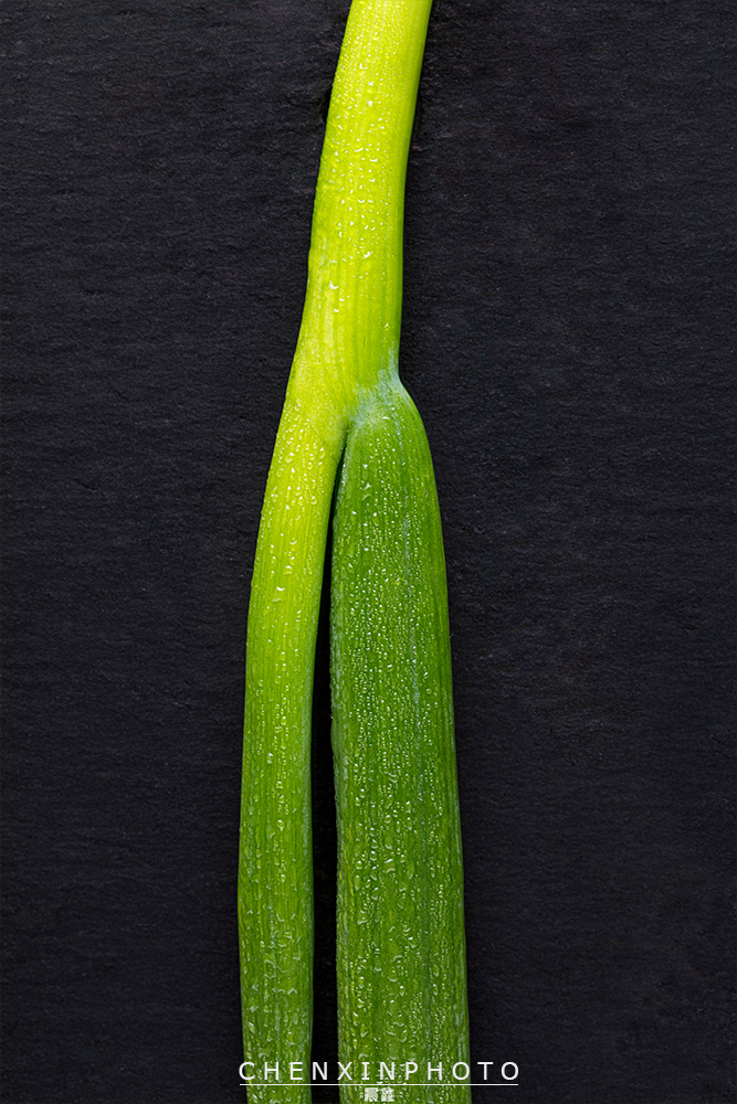 绿色美食蔬菜观念摄影