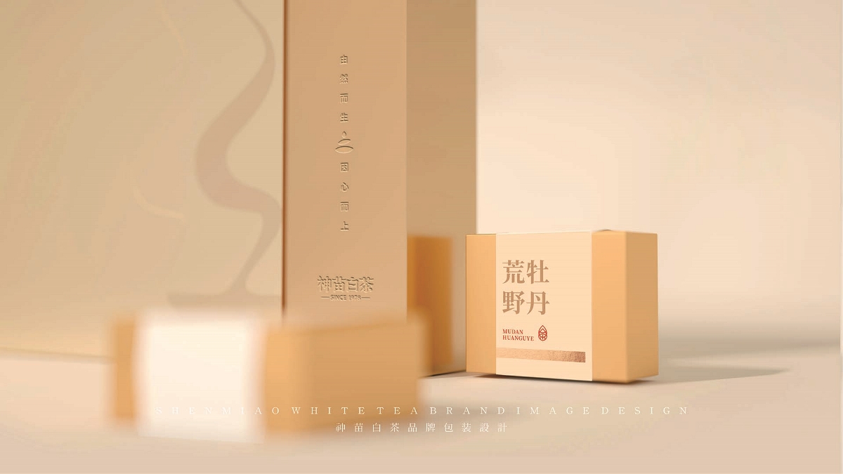 造塑创意 X 神苗白茶品牌形象及包装全案设计