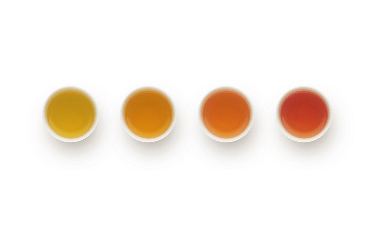 茶叶品牌logo画册设计