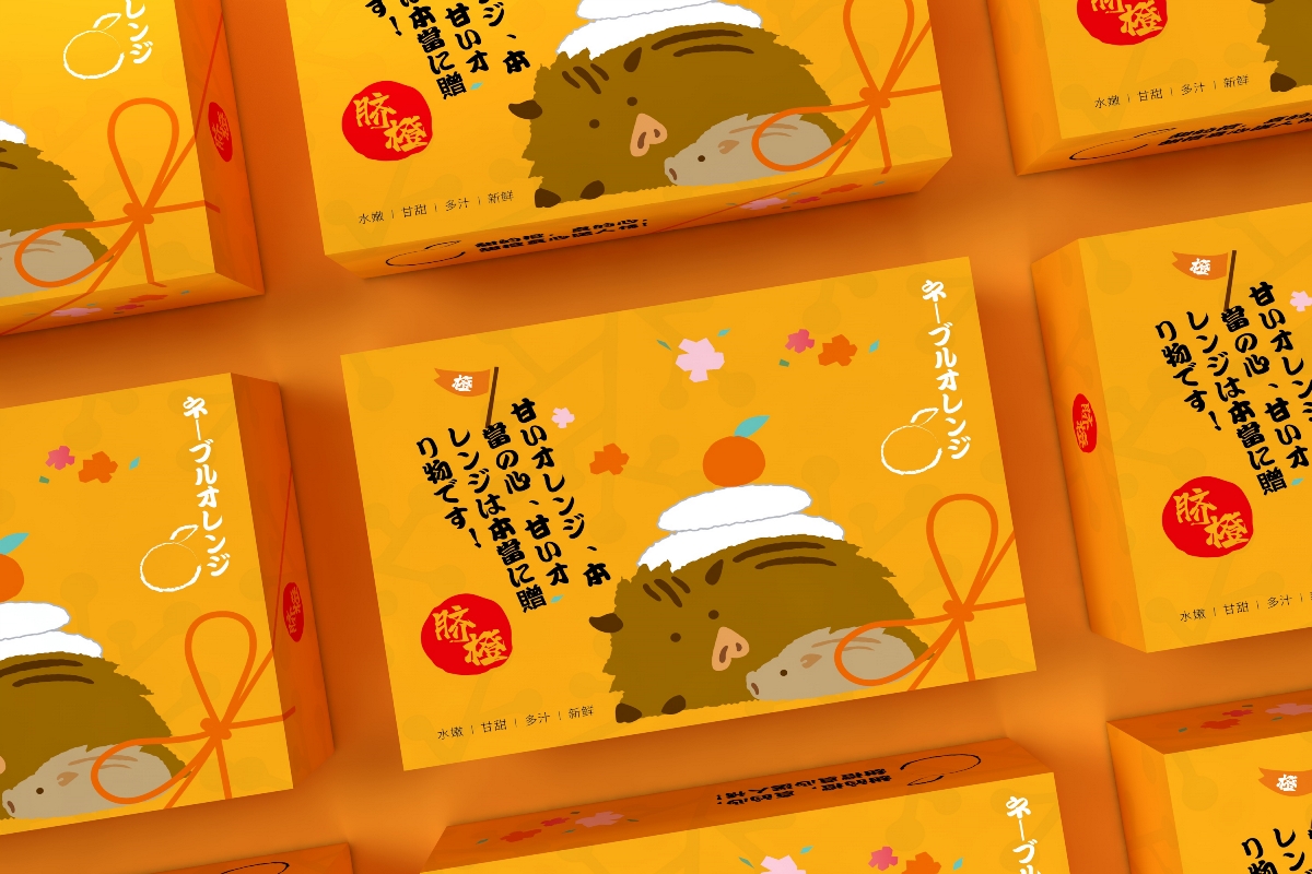 橙子包裝盒、水果通用包裝盒、超市食品節日禮盒唯美