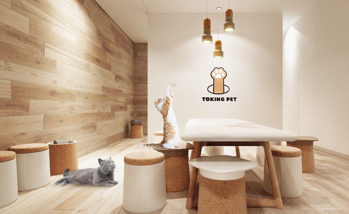 「TOKINGPET吞金兽」 宠物潮流品牌视觉形象设计