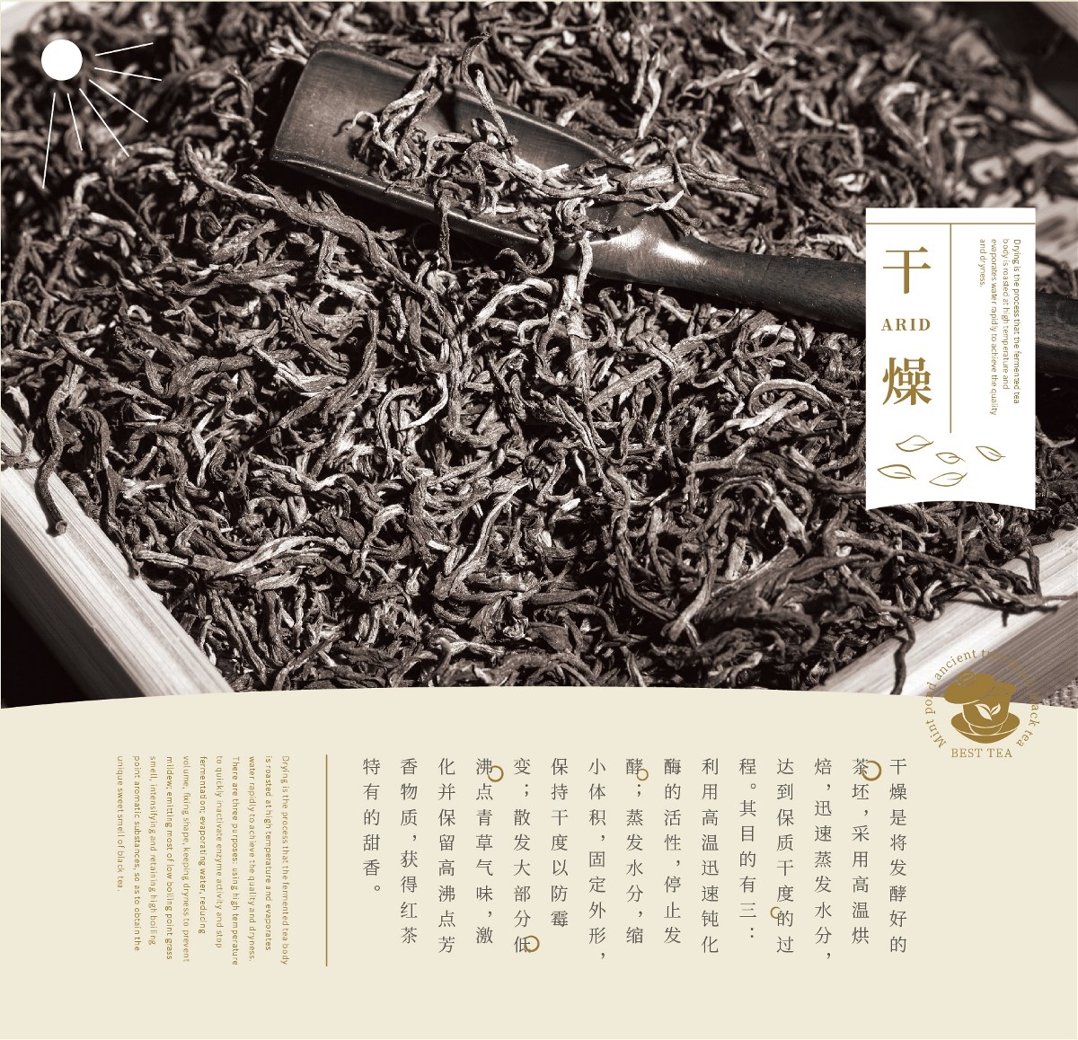 鳳寧號(hào)茶葉手繪風(fēng)包裝設(shè)計(jì)