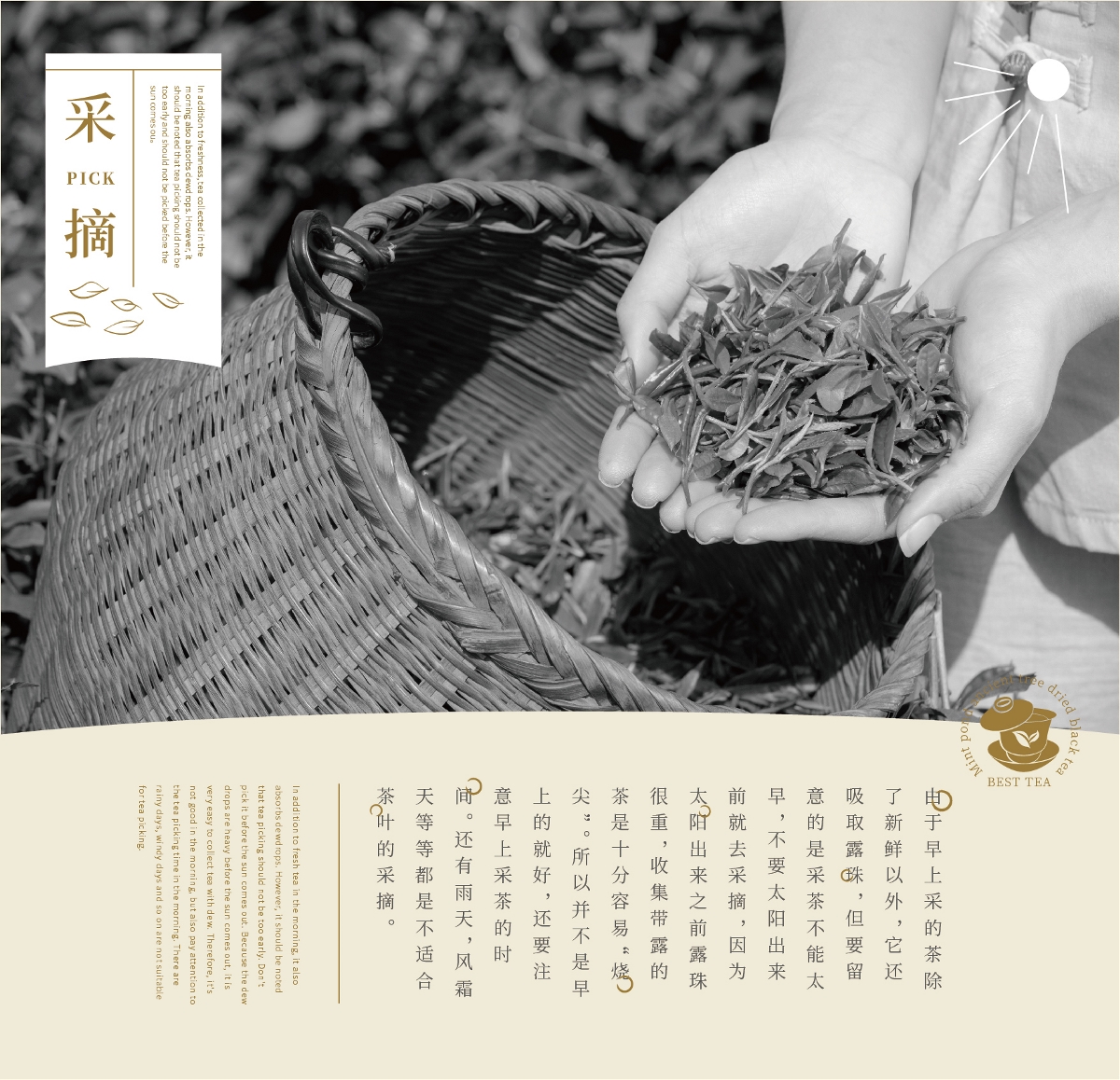 鳳寧號(hào)茶葉手繪風(fēng)包裝設(shè)計(jì)