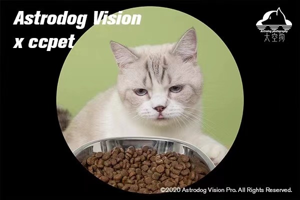宠物产品拍摄 CCPET产品视觉升级