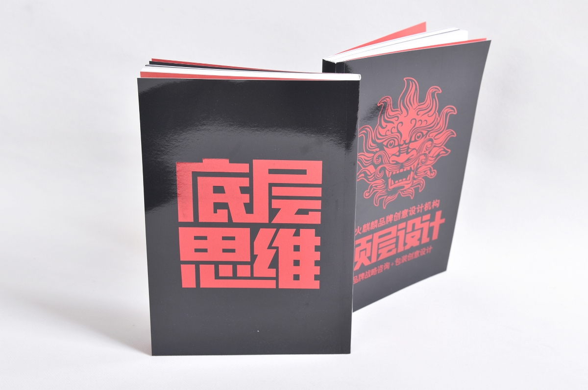 新書《頂層設計·底層思維》