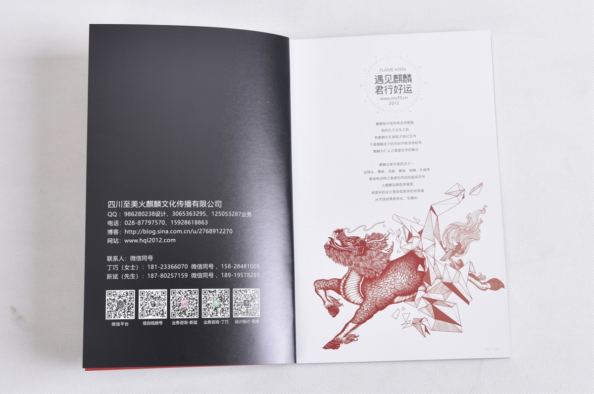 新書《頂層設計·底層思維》