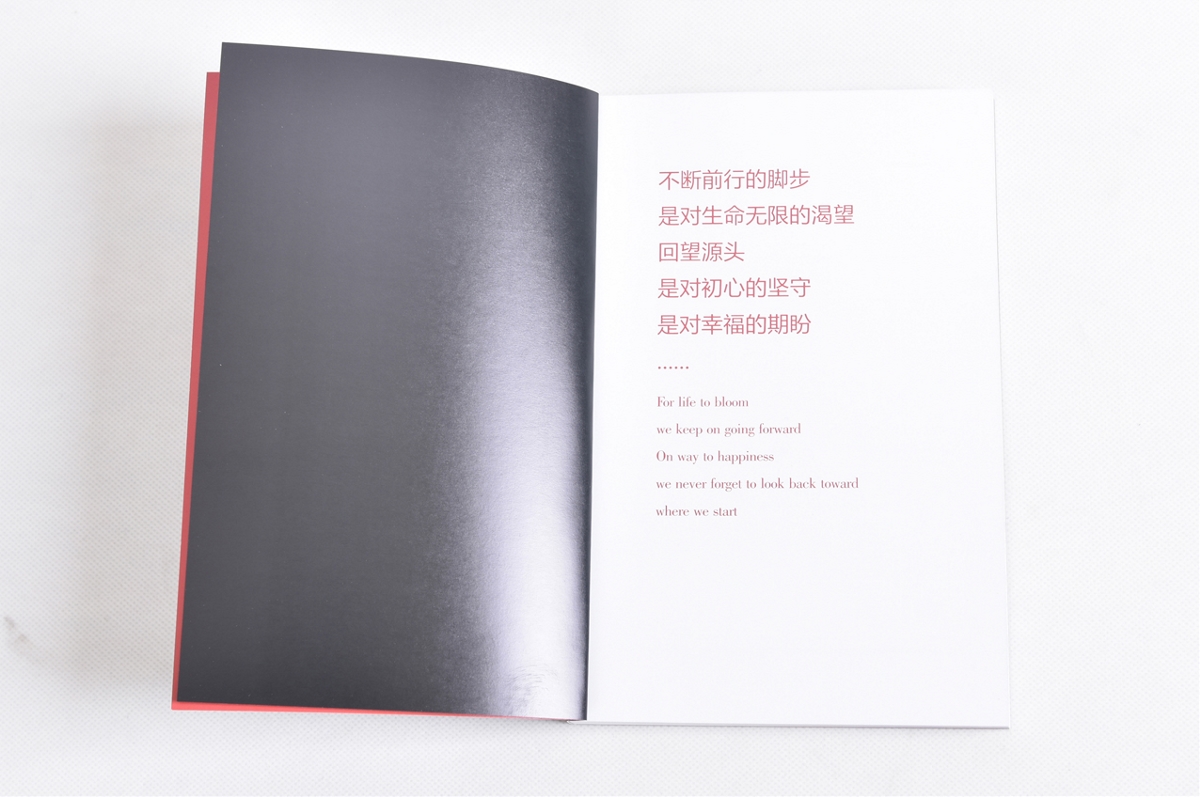 新書《頂層設計·底層思維》