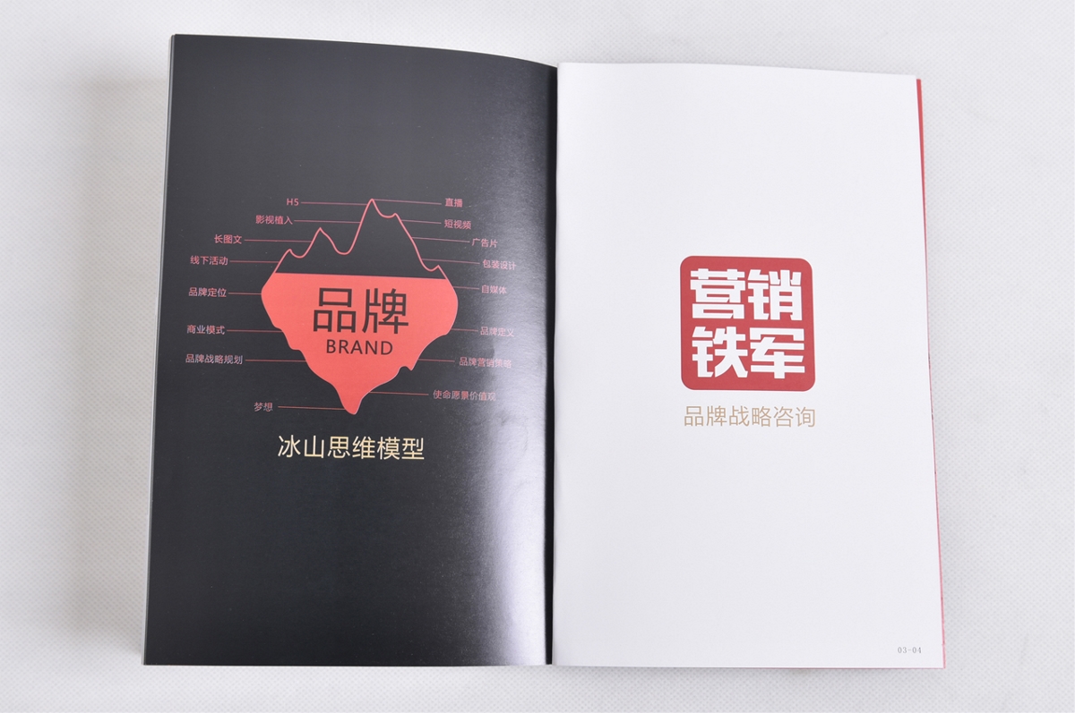 新書《頂層設計·底層思維》