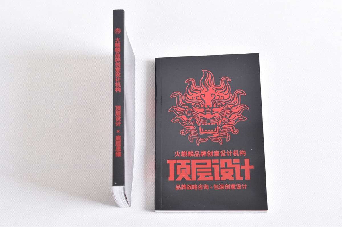 新書《頂層設計·底層思維》