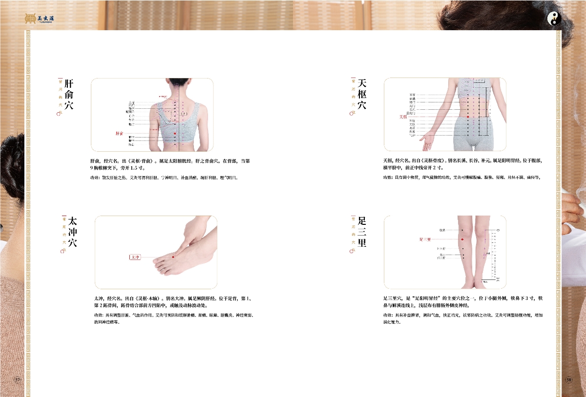 玉玄道畫冊排版