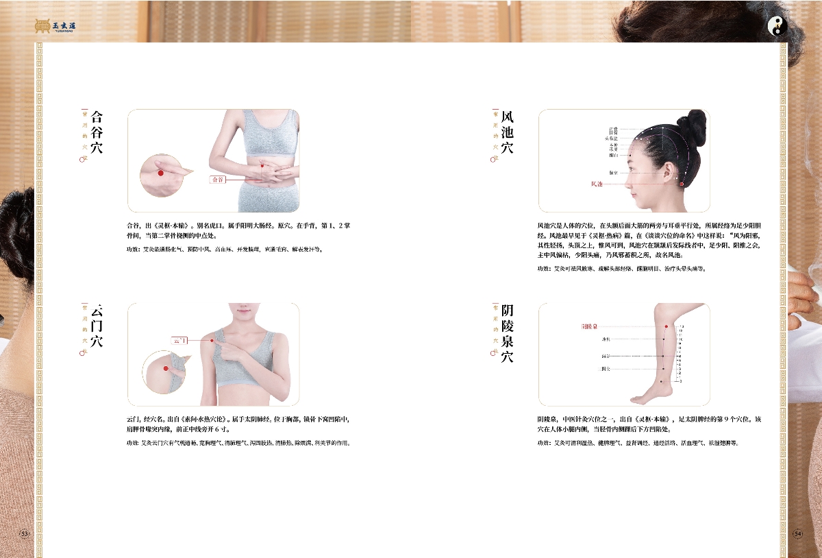 玉玄道画册排版