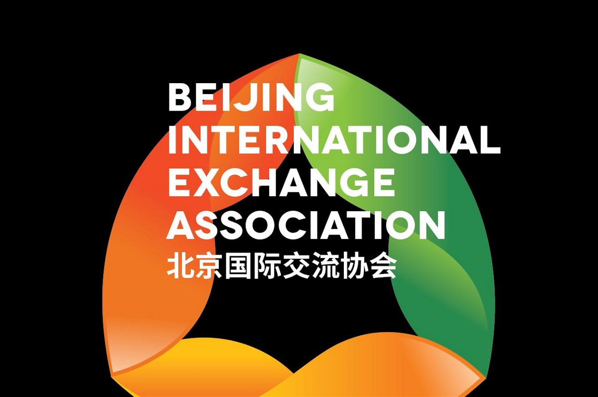 北京国际交流协会品牌LOGO标志设计字体商标集团政府企业VI形象