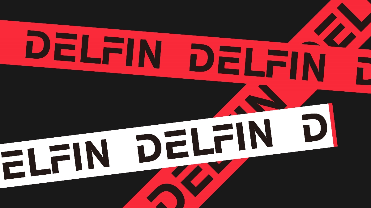 DELFIN-新疆德利菲影视文化传媒 品牌视觉系统创建