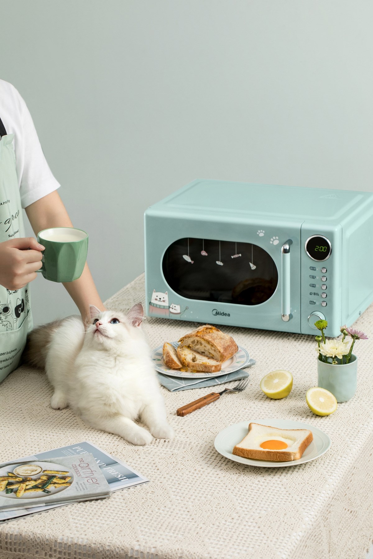 喵喵美的烤箱||撸猫 vico薇