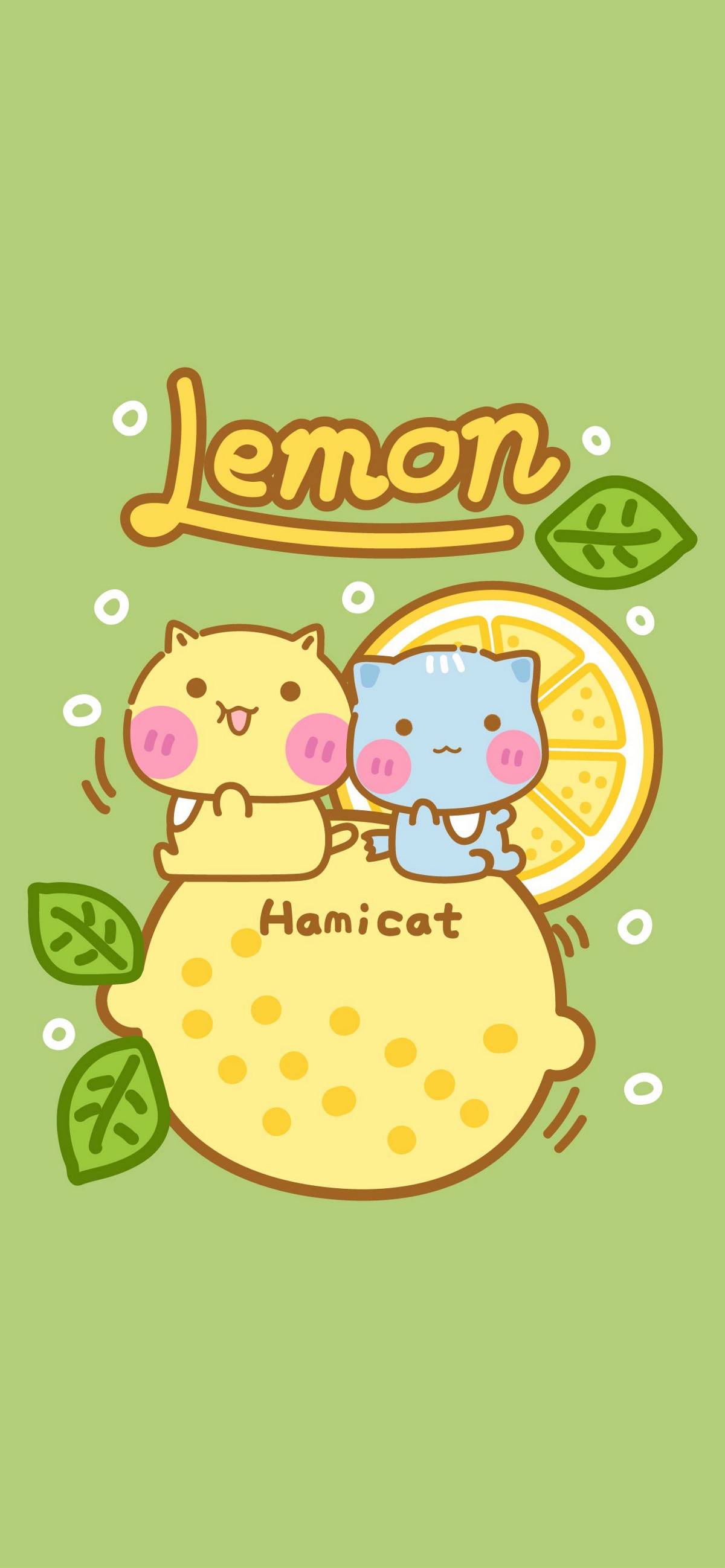 柠檬哈咪猫