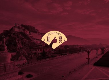 中国风国潮西藏拉萨松茸包装设计logo设计