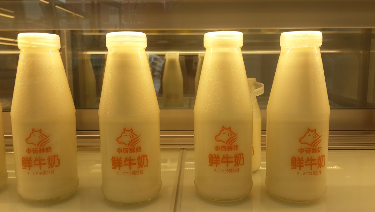 中荷乳業(yè)品牌策劃設計