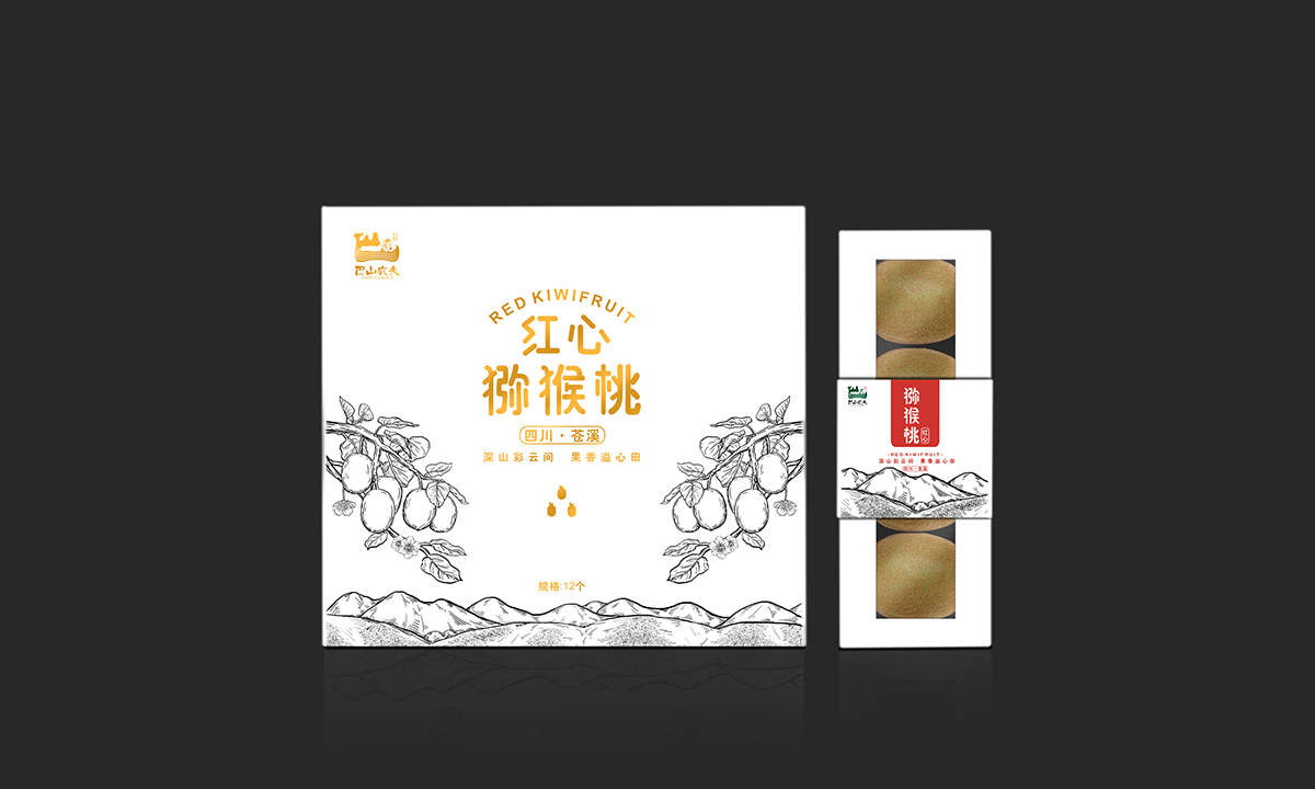 彌猴桃包裝設(shè)計(jì)，水果包裝設(shè)計(jì)，水果禮盒包裝設(shè)計(jì)，高檔水果包裝設(shè)計(jì)