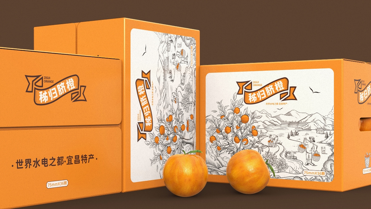 秭归脐橙包装设计|世界水电之都宜昌特产