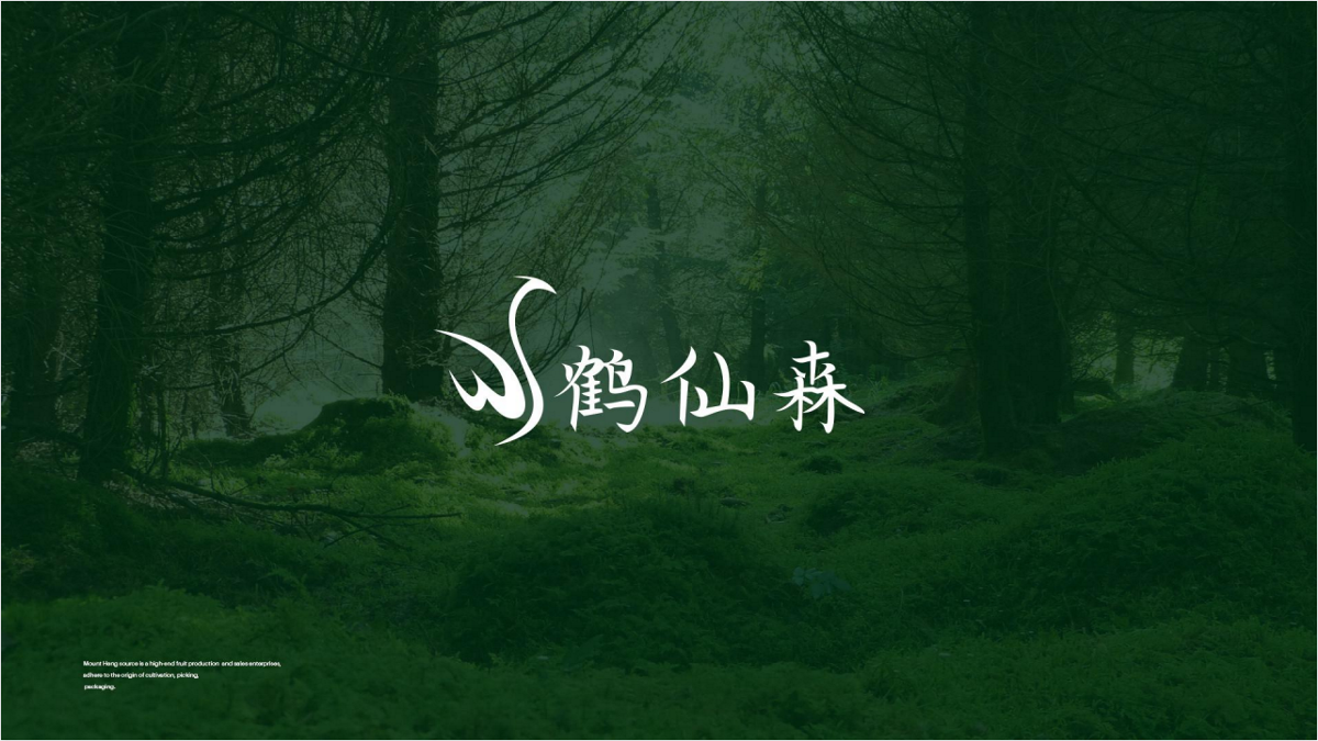 鹤先森品牌LOGO设计案例