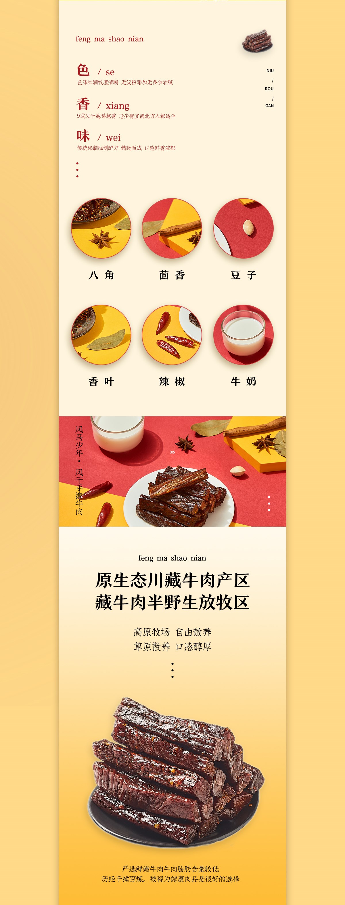 武漢電商設(shè)計(jì)|風(fēng)干牛肉|食品美食|詳情設(shè)計(jì)|視覺優(yōu)化