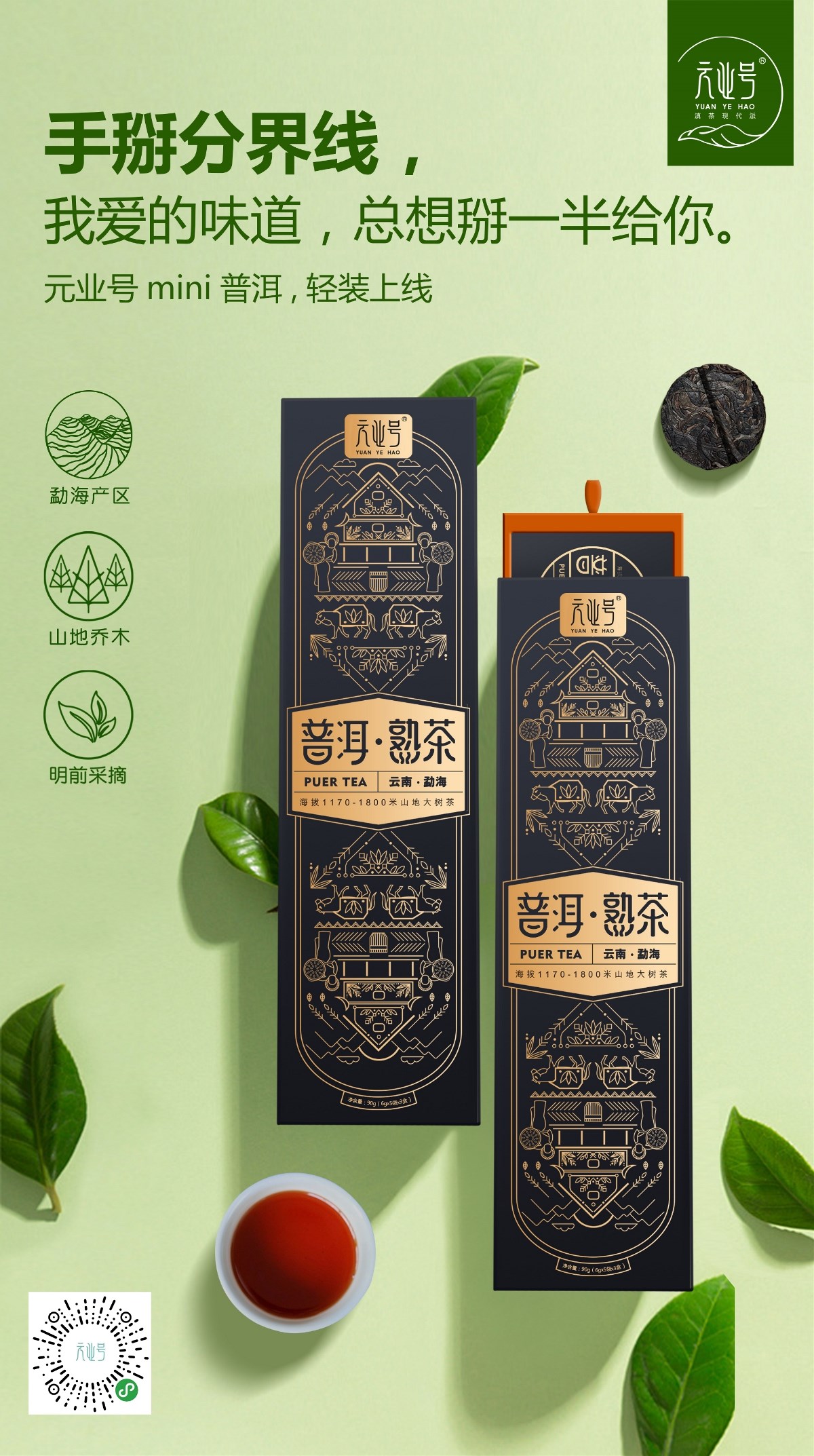 普洱MINI茶餅