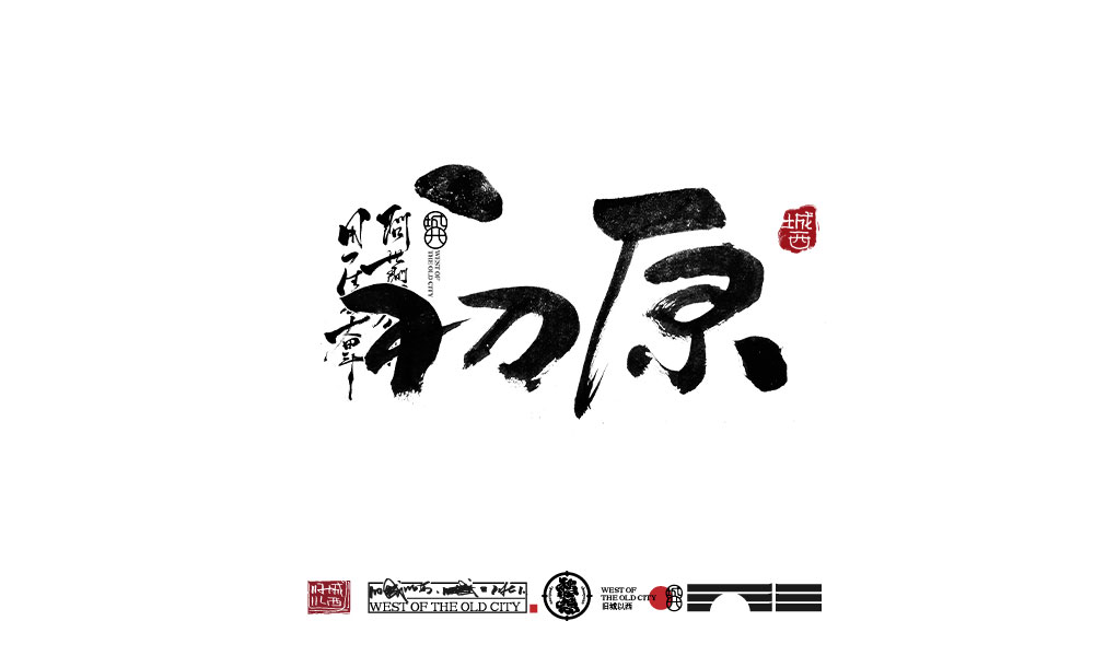 2021手寫集總結(jié)（100例）