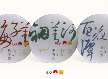 龙章茶·系列普洱茶包装设计