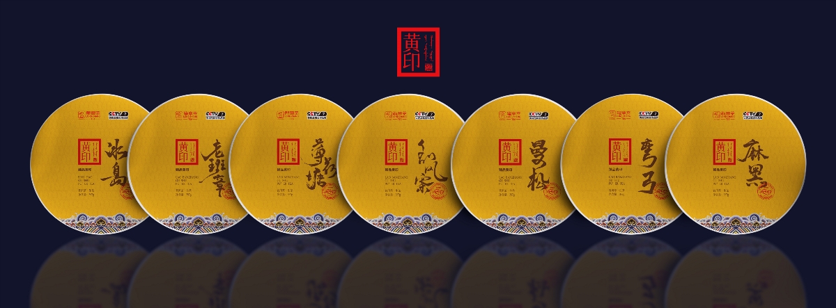 龙章茶·品牌标杆普洱系列包装设计