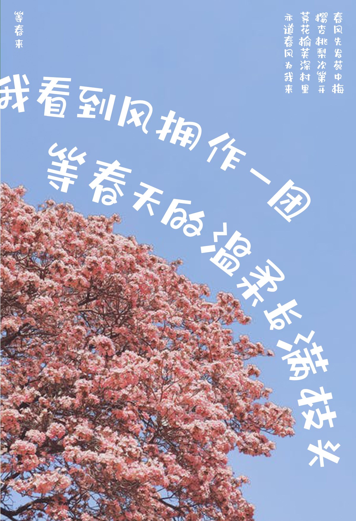 新字推薦 | 春天的野生詩(shī)人