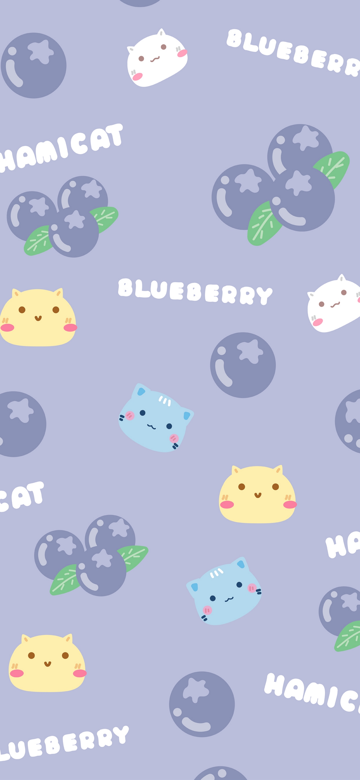 哈咪猫爱蓝莓