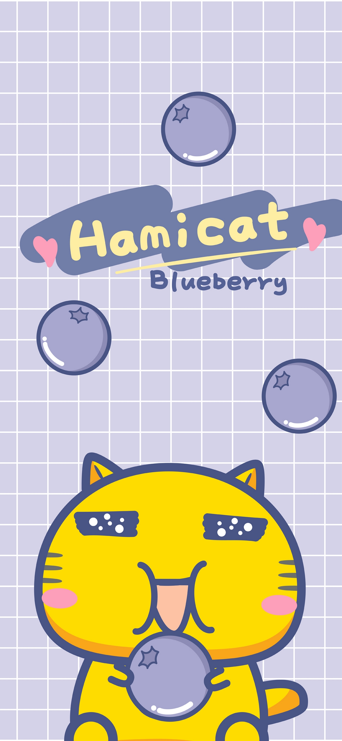 哈咪猫爱蓝莓