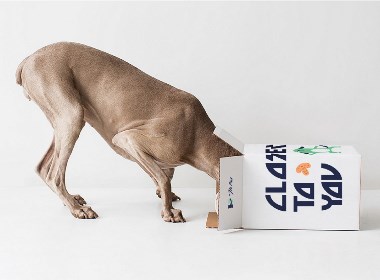 [HI PET]宠物生活集合店品牌设计