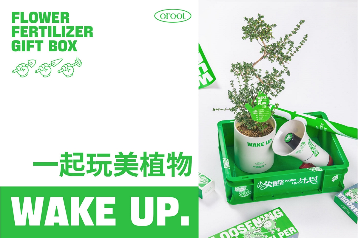 唤醒计划：花卉肥料礼盒包装设计