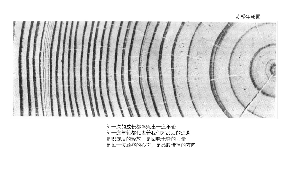 淘松果品牌包裝設(shè)計(jì)