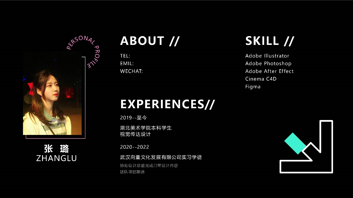 张璐丨湖北美术学院丨视觉方向2022个人作品集