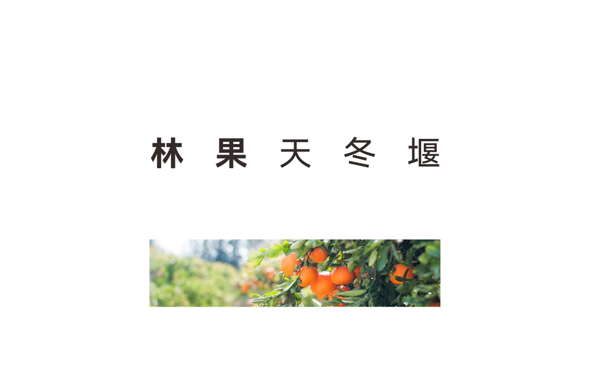 乡村振兴之天冬堰村LOGO设计