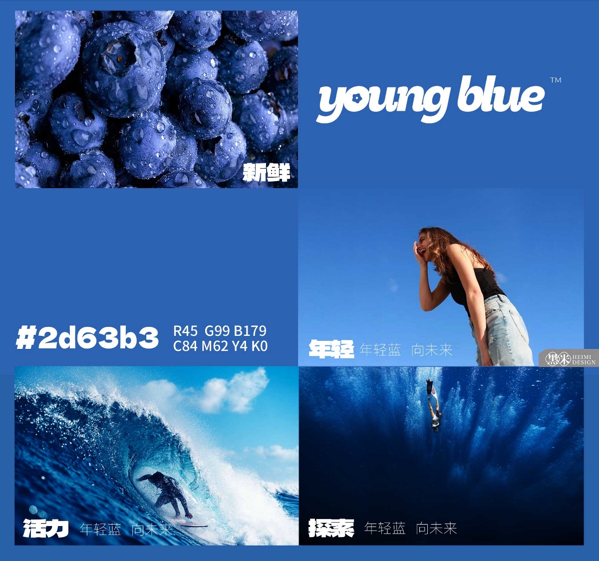 莓蓝花青 蓝莓品牌与包装整体设计   黑米品牌设计