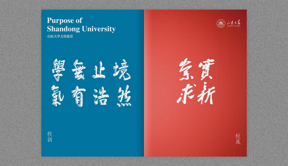 山大大學(xué)哲學(xué)與社會發(fā)展學(xué)院畫冊設(shè)計