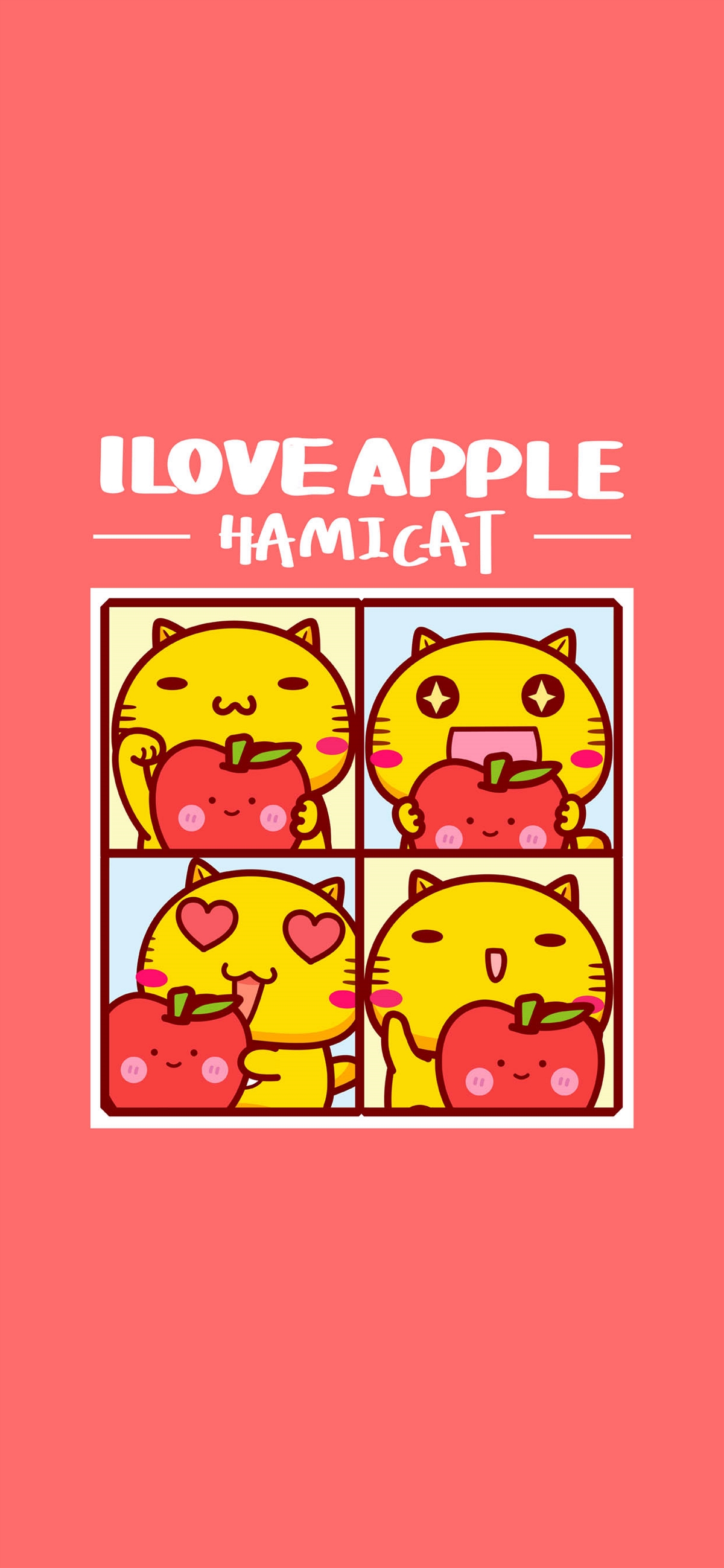 哈咪猫爱苹果