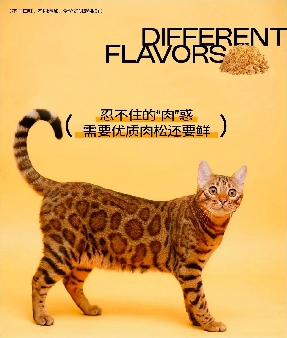 猫粮包装设计 宠物包装设计 宠物VI设计 宠物品牌设计