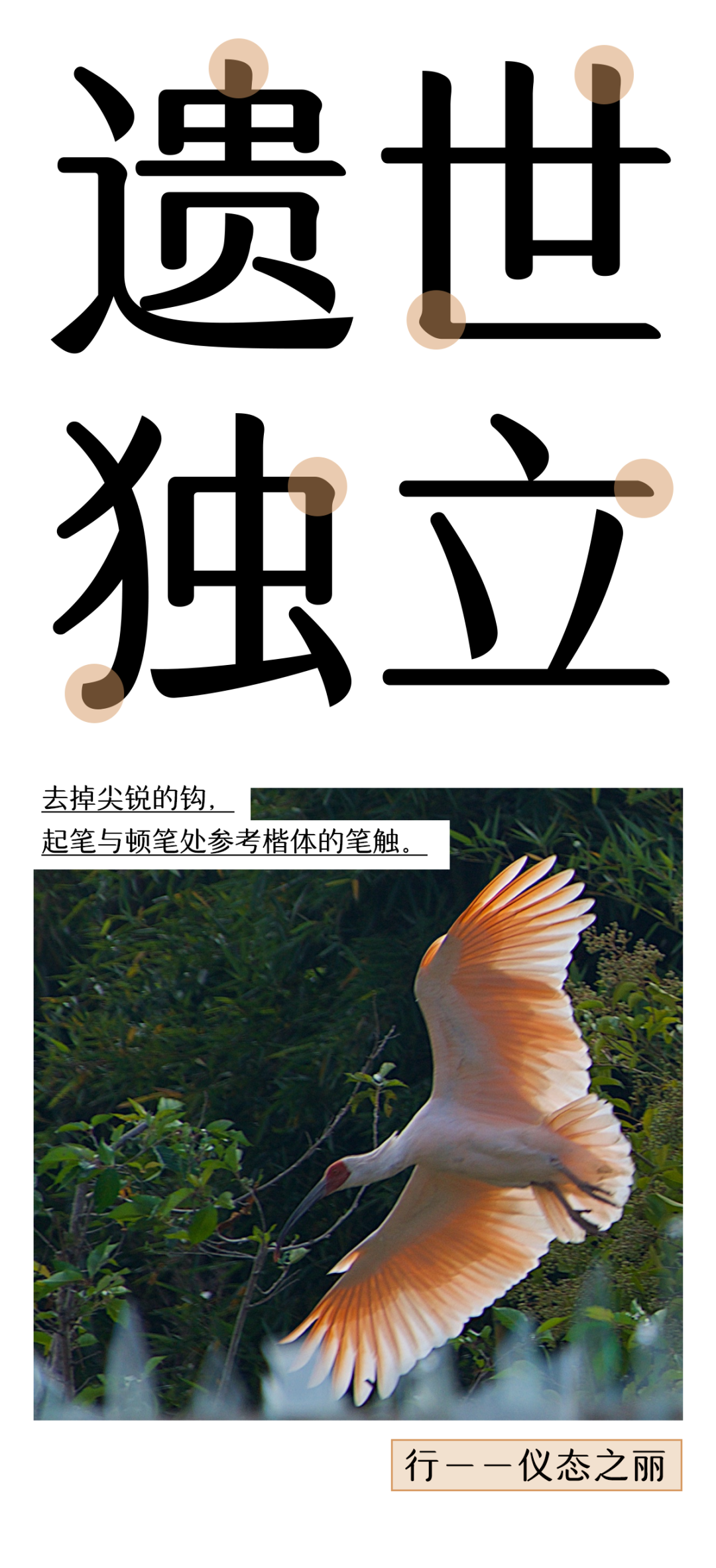 「鹮（huán）给字然」计划｜字神国风x下渚湖国家湿地公园，推出联名字库“汉字之美朱鹮简”