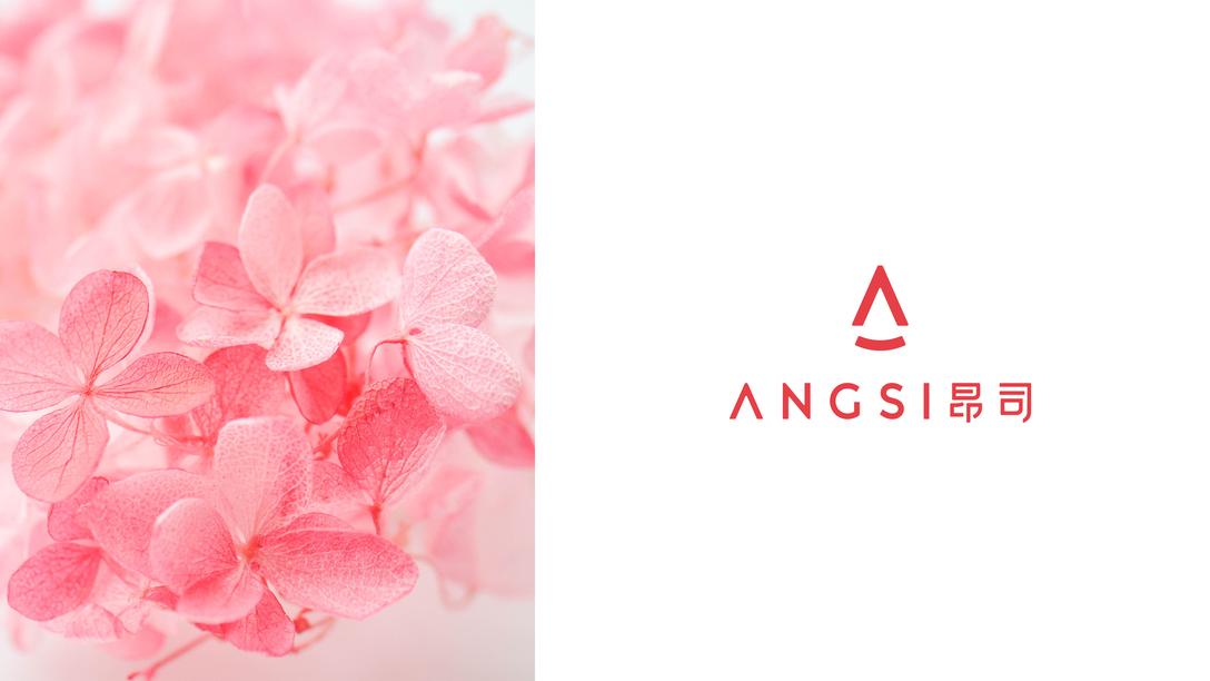 Acebrand艾思品牌创意案例集-【Angsi昂司零食包装设计】