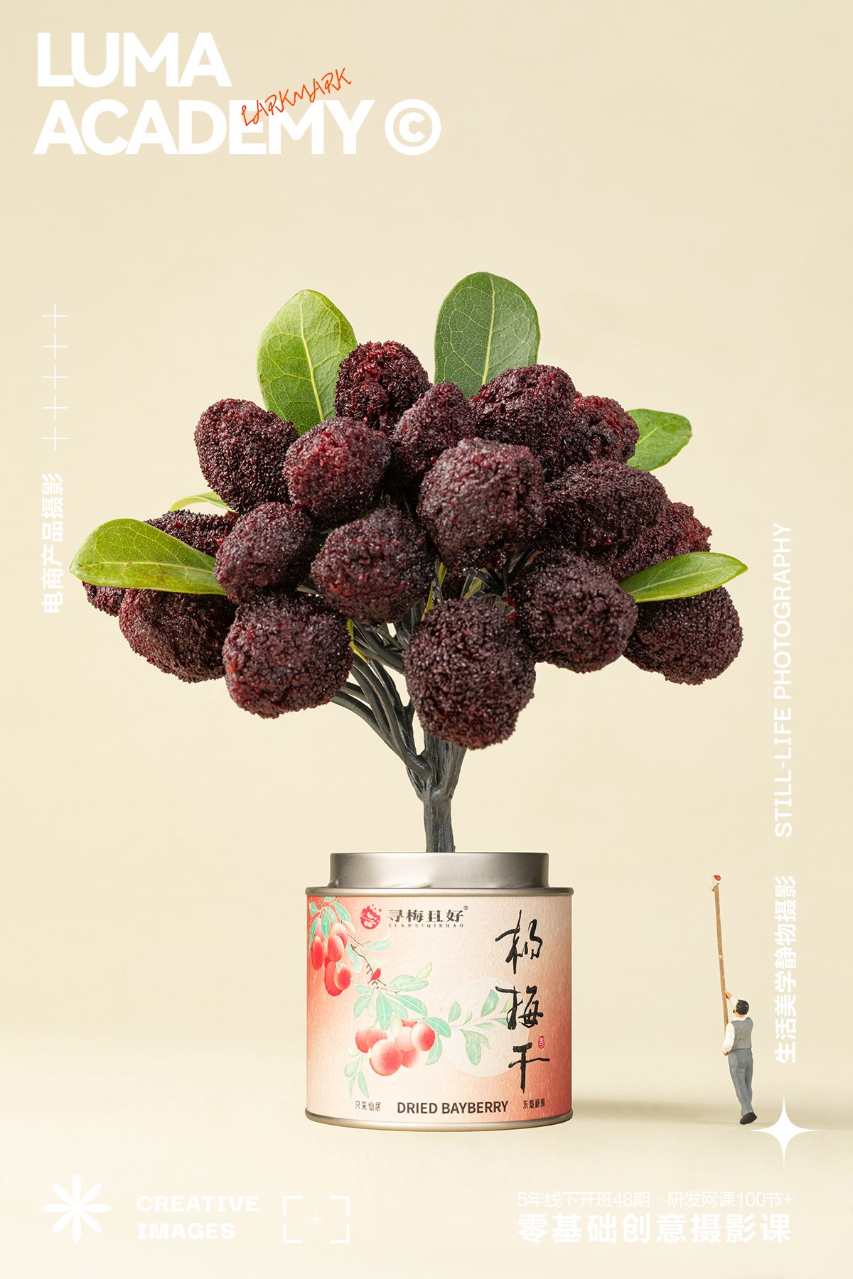 美食摄影｜中秋中式礼品杨梅干产品摄影上海杭州摄影