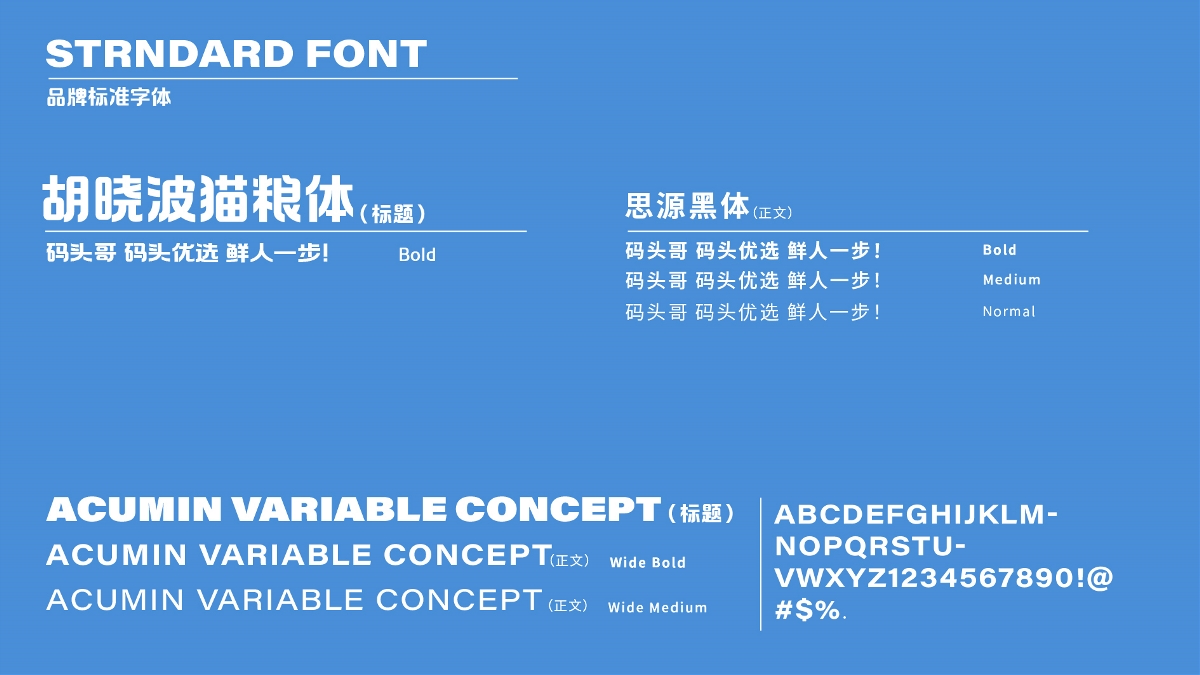 粤猫 x 码头哥 | 海洋零食品牌全案策划 插画 IP VI 包装 品牌 物料