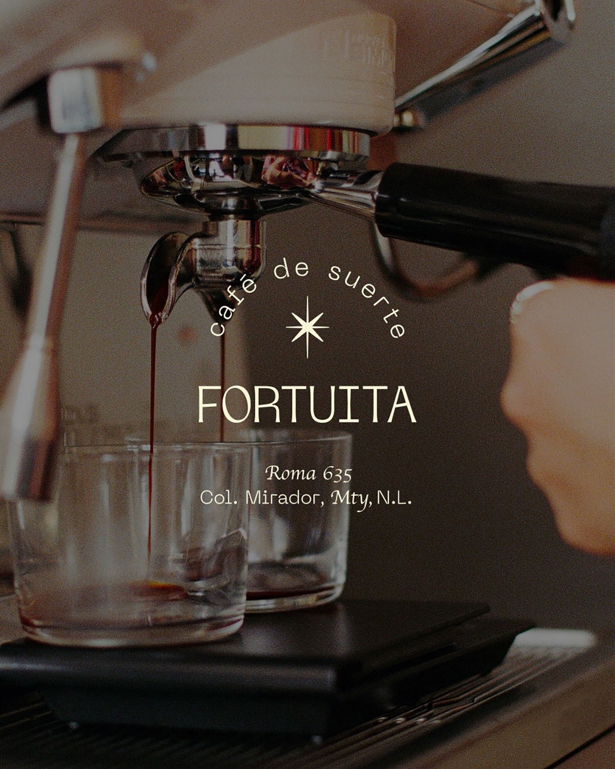 Fortuita 咖啡品牌视觉形象设计欣赏