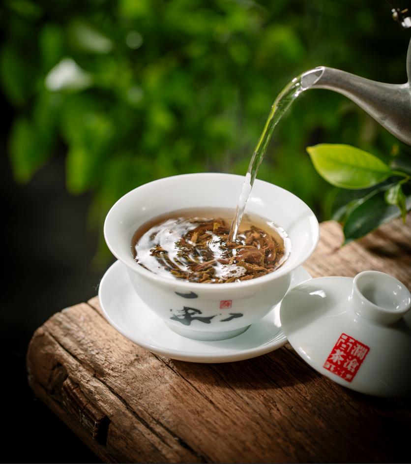 源于世界文化遺產(chǎn)-景邁山普洱茶