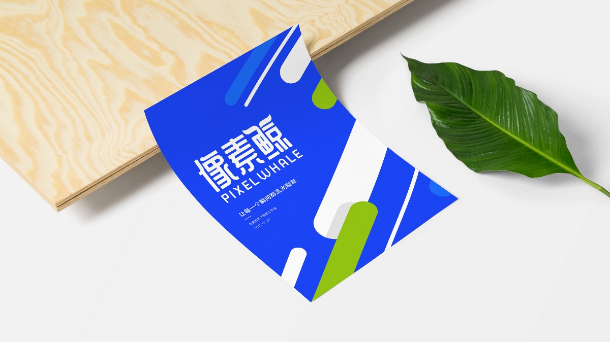 像素鲸艺术微喷品牌LOGO设计｜工作室打印LOGO VI设计