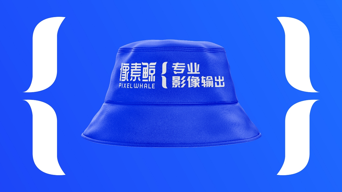 像素鲸艺术微喷品牌LOGO设计｜工作室打印LOGO VI设计